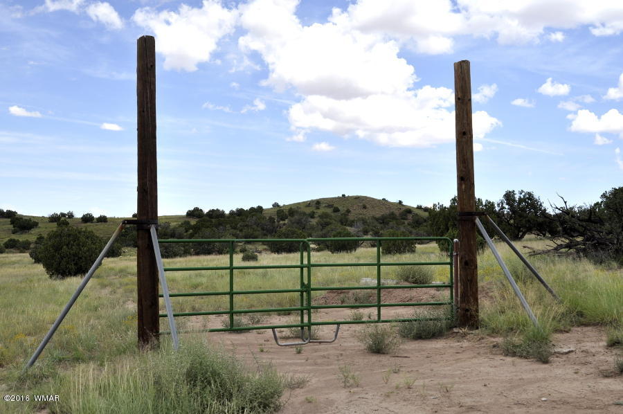Lot 10 Pinon Concho, AZ 85924 - Photo 10 of 17