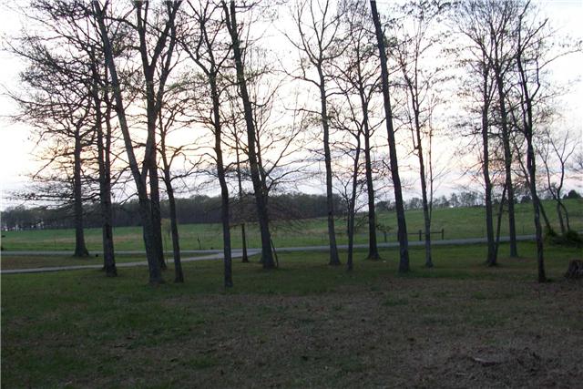 328 Hooper Road Smithville, TN 37166 - Photo 3 of 17 Gallery Image 3