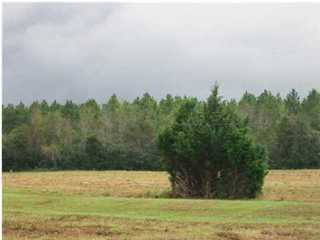 a view of a field