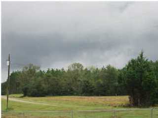 N/a Punch Bowl Road DeFuniak Springs, FL 32433 - Photo 3 of 4 a view of a field
