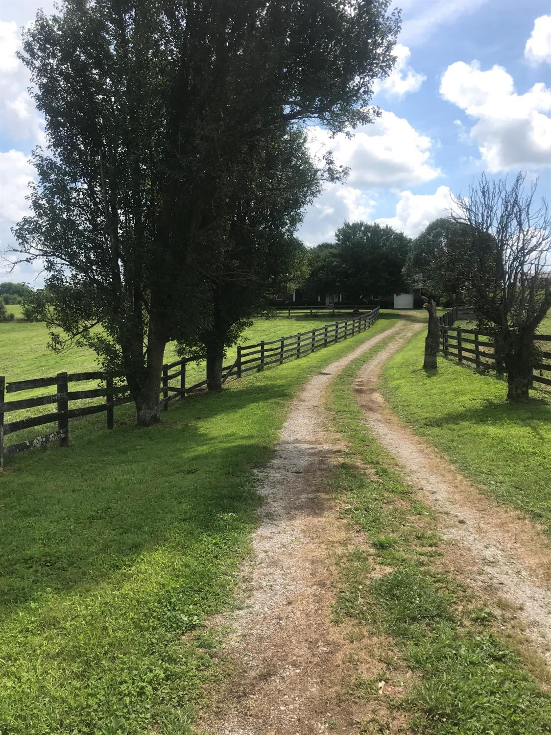 684 Jones Nursery Road Lexington, KY 40509 - Photo 13 of 56 Photo 13