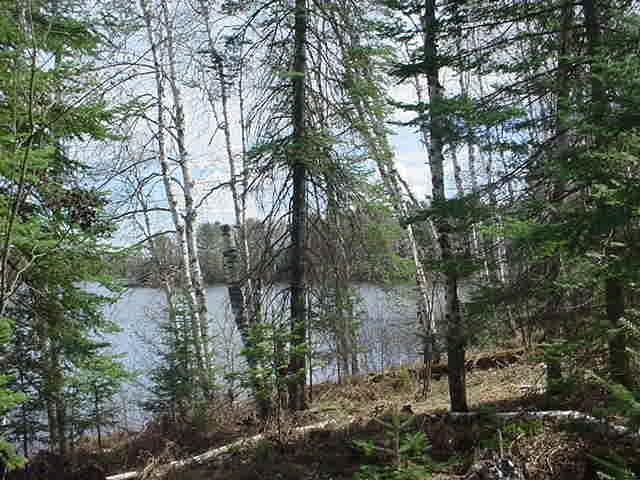 Lot 3 Rice Lake Road Mercer, WI 54547 - Photo 8 of 10 Gallery Image 8