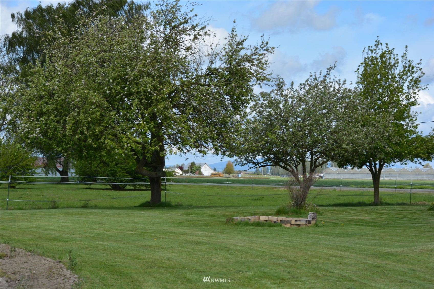 16384 Jungquist Road Mount Vernon, WA 98273 - Photo 8 of 11 a big yard with trees