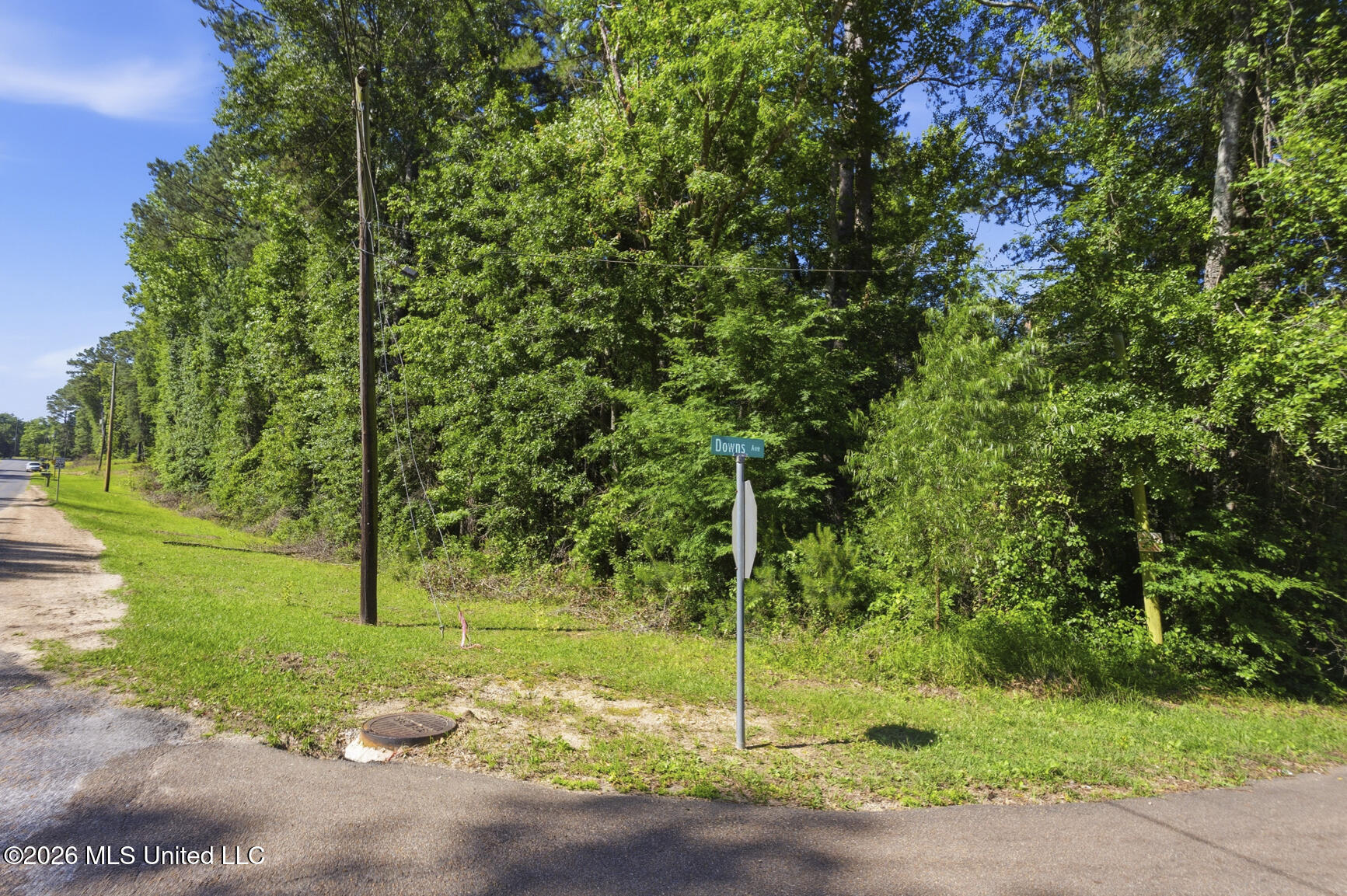 Athens Road Mendenhall, MS 39114 - Photo 2 of 6 Corner Downs-Athens Rd-3