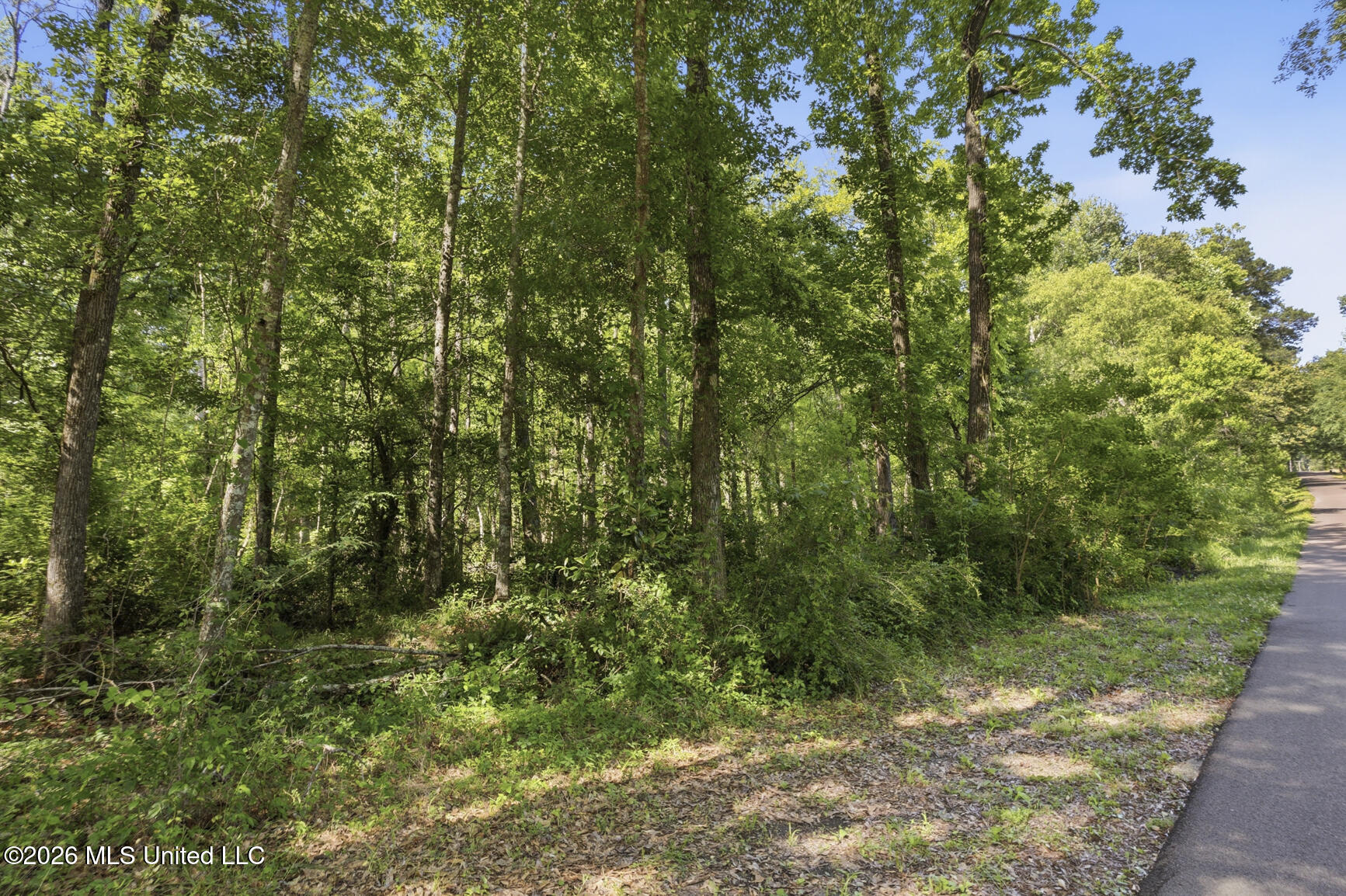 Athens Road Mendenhall, MS 39114 - Photo 5 of 6 Corner Downs-Athens Rd-2