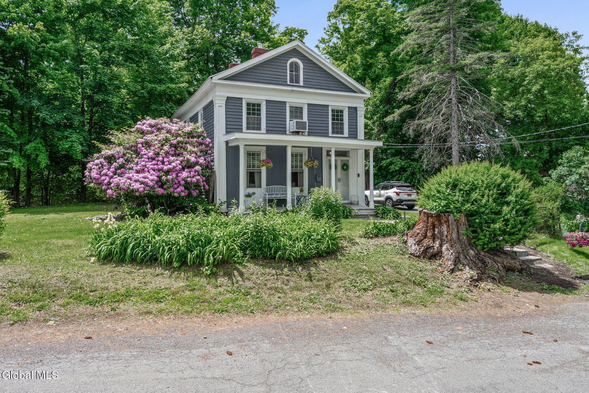 1-web-or-mls-190-spring-ave
