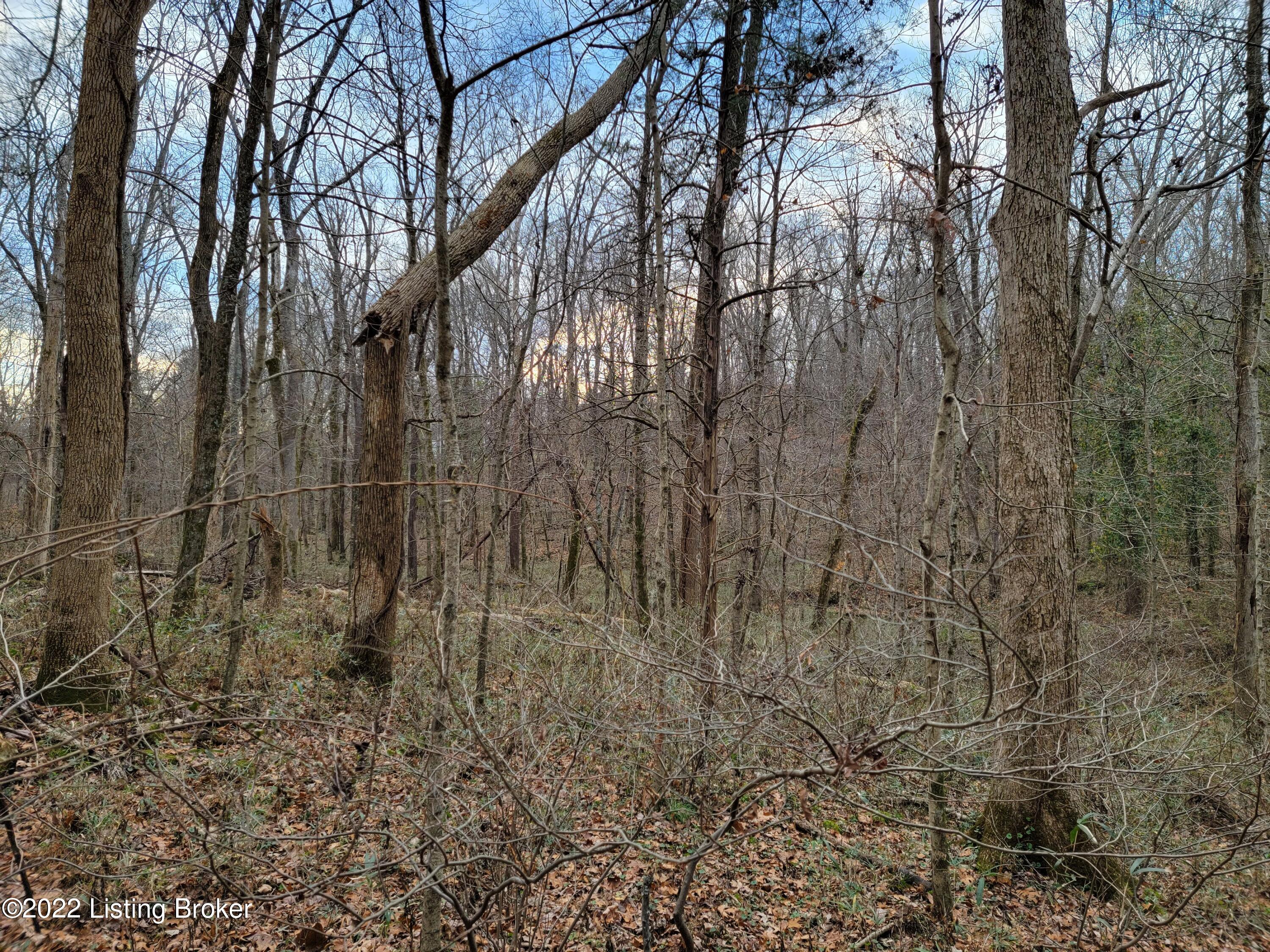 8010 Wolf Pen Branch Road Prospect, KY 40059 - Photo 20 of 34 20211127_163253