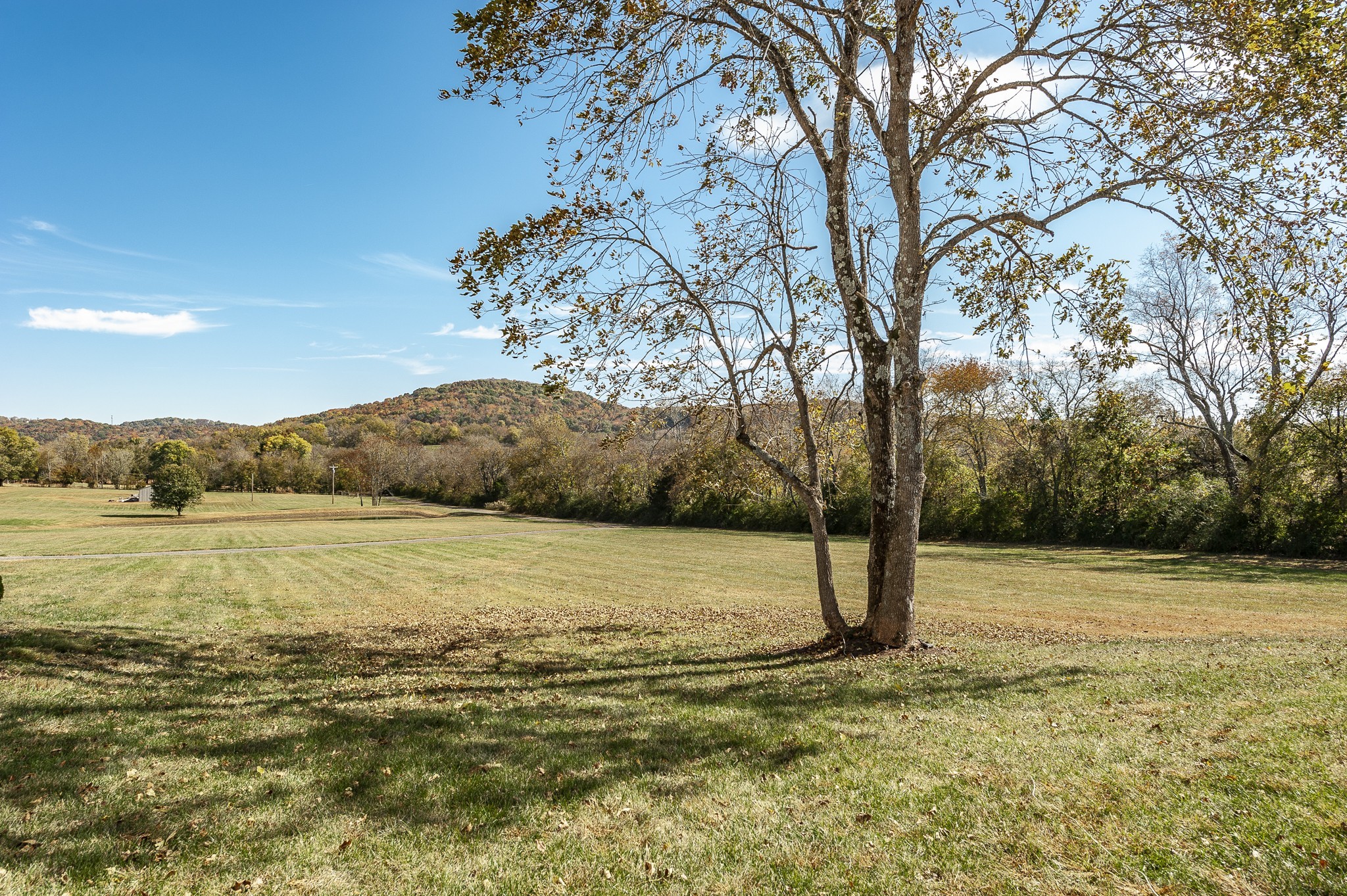 205 Mutton Hollow Hill Road Bethpage, TN 37022 - Photo 54 of 70 Gallery Image 54