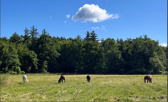 $2,500,000 | 372 Webster Highway, Temple, NH 03084