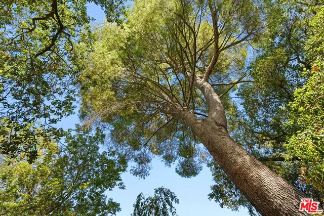 $9,000 | 21277 Entrada Road, Topanga, CA 90290