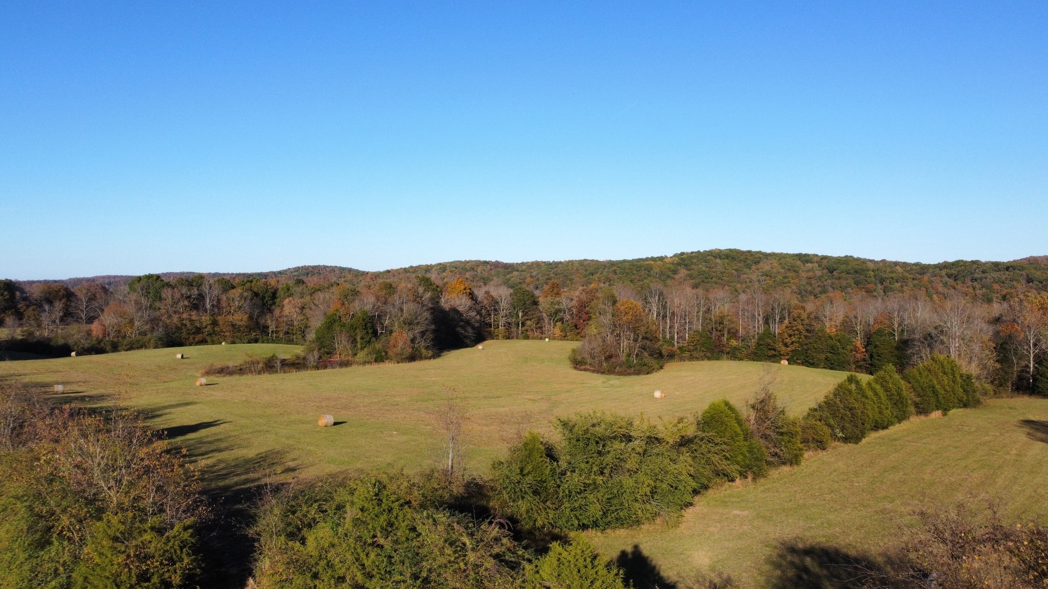 156 Salem Road Hohenwald, TN 38462 - Photo 25 of 43 Gallery Image 25