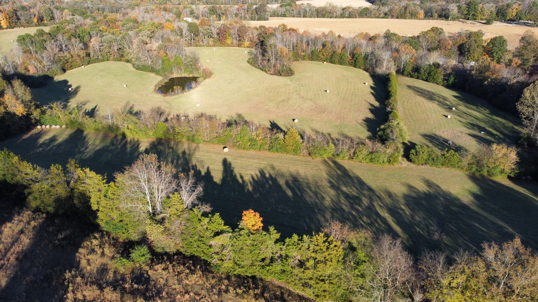 156 Salem Road Hohenwald, TN 38462 - Photo 26 of 43 Gallery Image 26