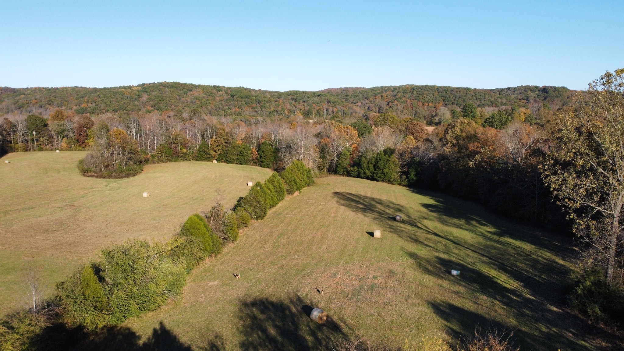 156 Salem Road Hohenwald, TN 38462 - Photo 27 of 43 Gallery Image 27