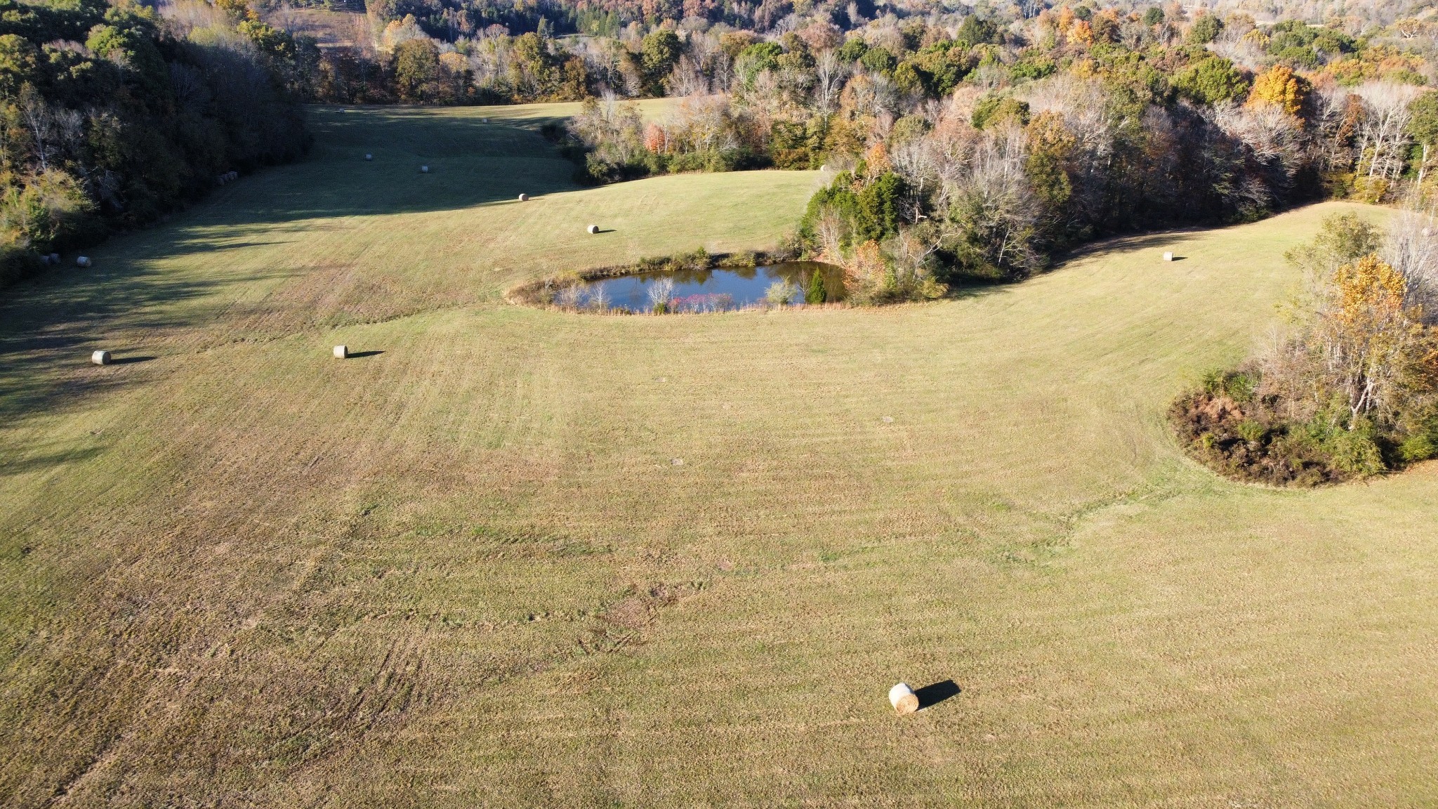 156 Salem Road Hohenwald, TN 38462 - Photo 30 of 43 Gallery Image 30