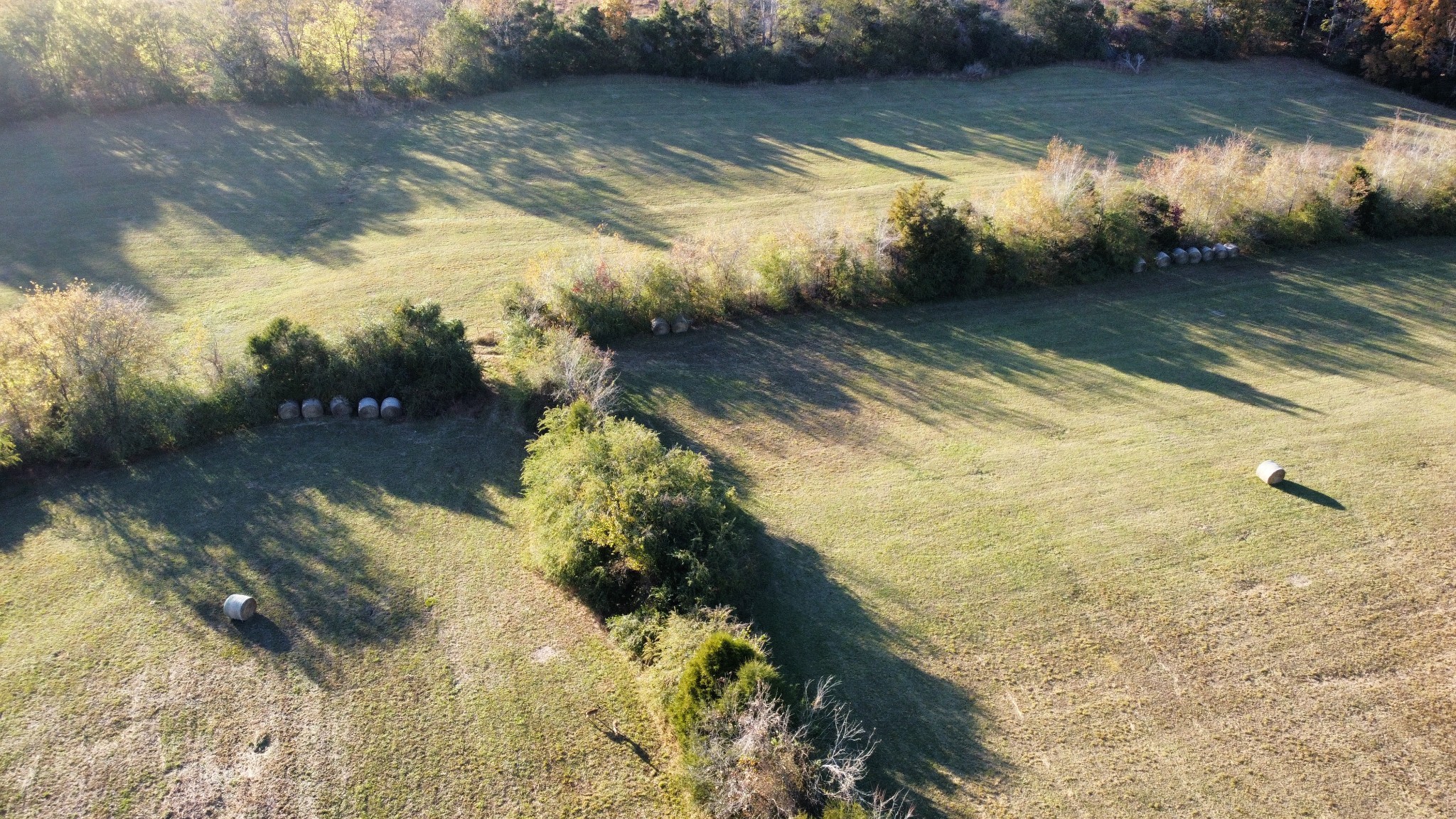 156 Salem Road Hohenwald, TN 38462 - Photo 31 of 43 Gallery Image 31