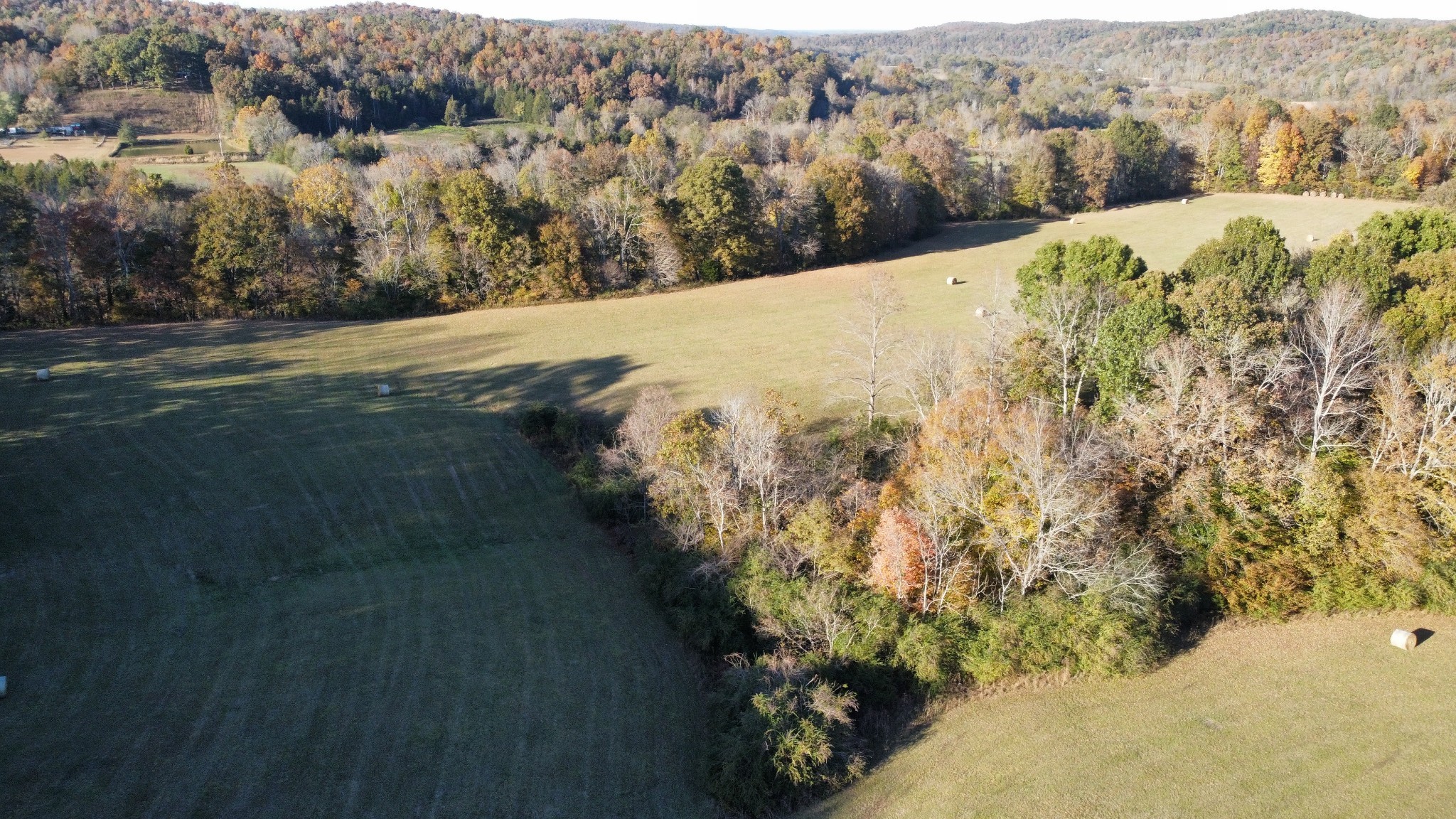 156 Salem Road Hohenwald, TN 38462 - Photo 33 of 43 Gallery Image 33