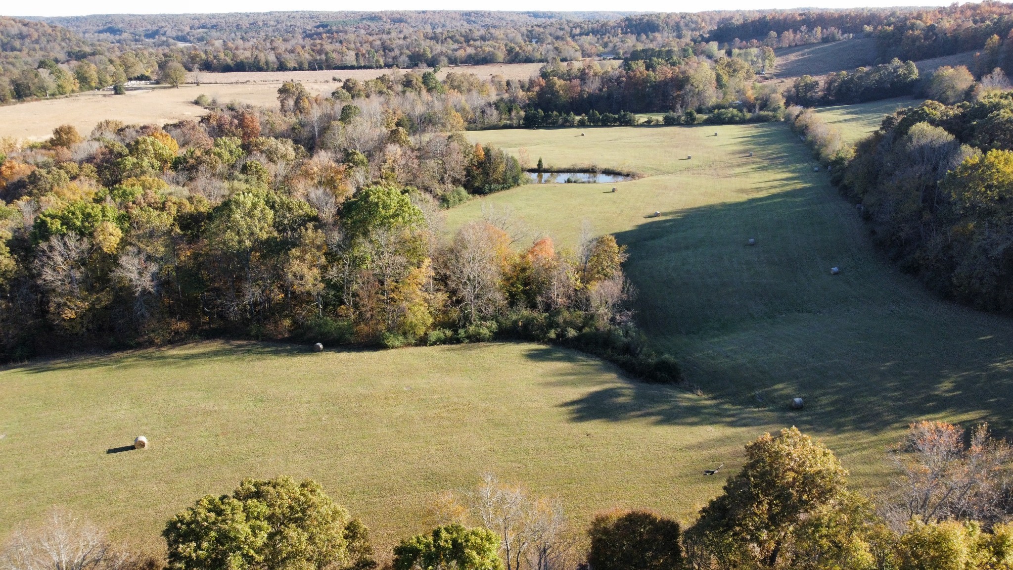 156 Salem Road Hohenwald, TN 38462 - Photo 34 of 43 Gallery Image 34