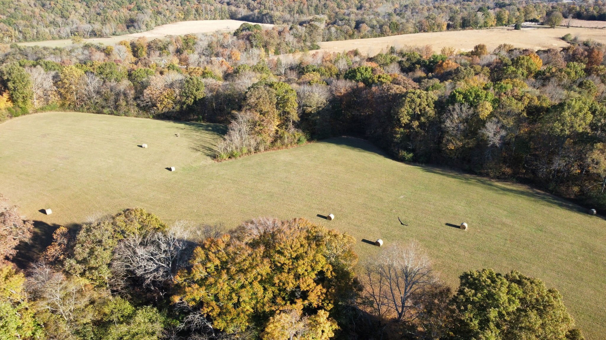 156 Salem Road Hohenwald, TN 38462 - Photo 35 of 43 Gallery Image 35