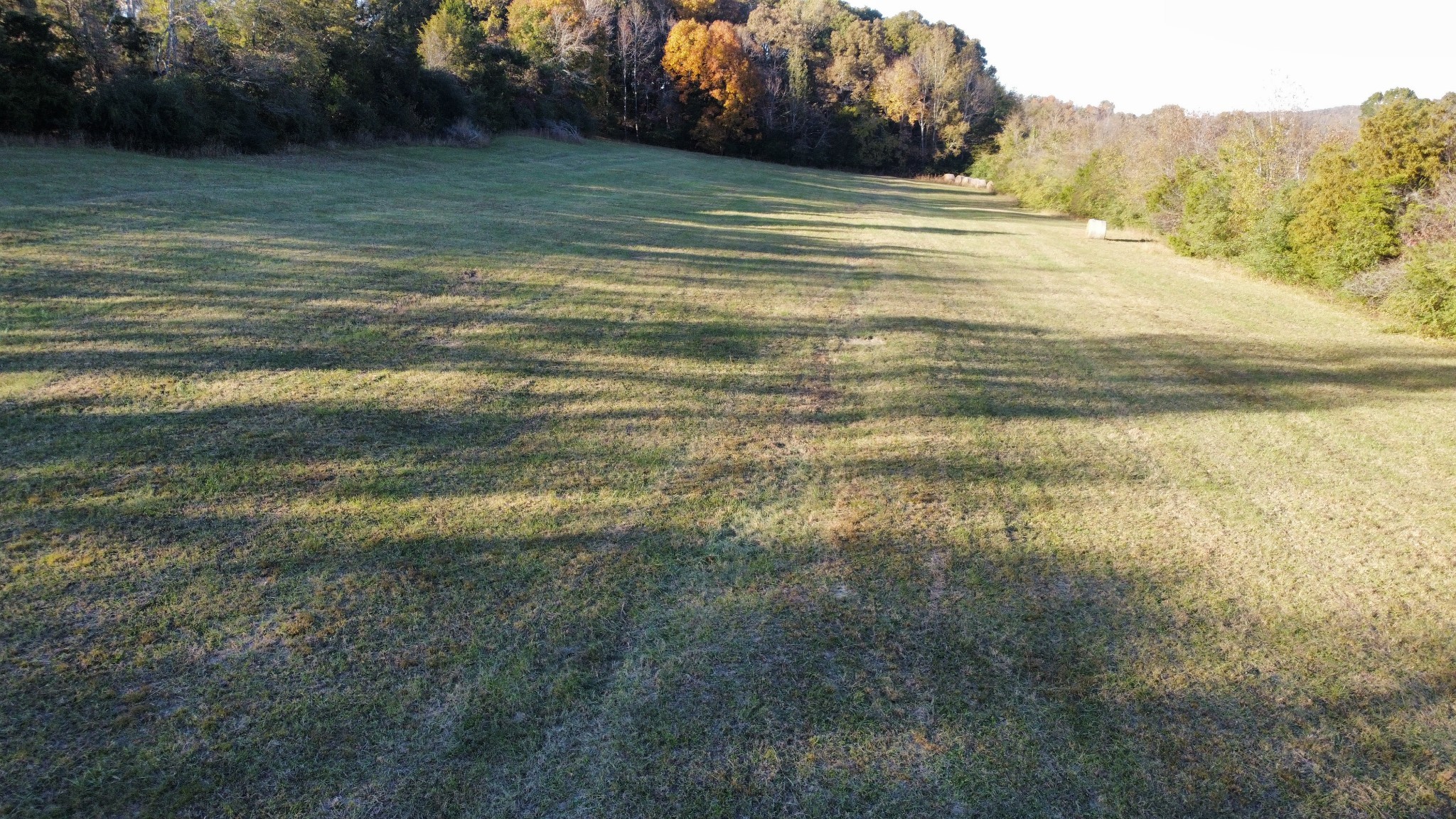 156 Salem Road Hohenwald, TN 38462 - Photo 42 of 43 Gallery Image 42