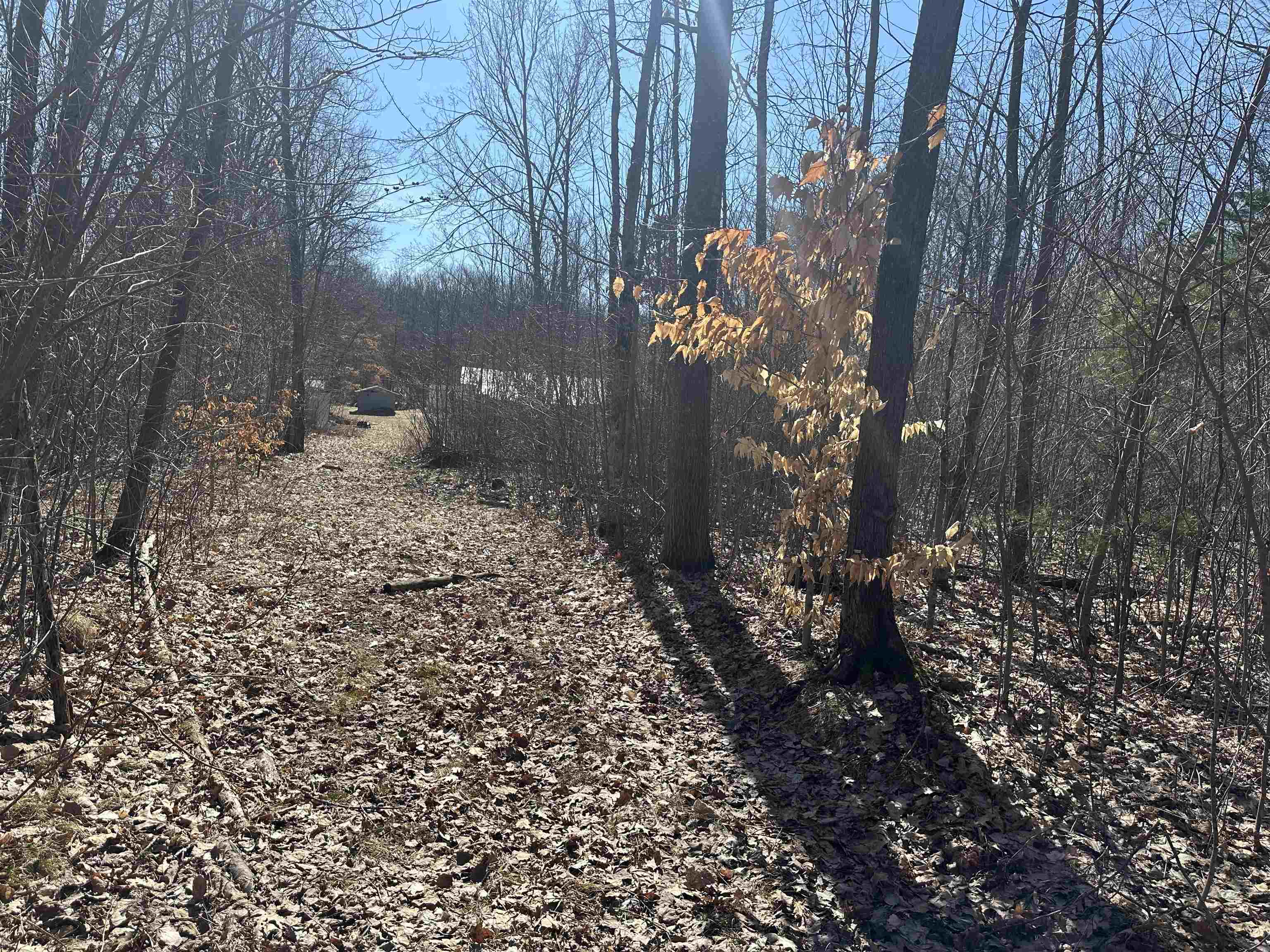 620 West Clarence Road Harrison, MI 48625 - Photo 2 of 11