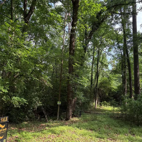 $15,000 | 0 Canvas Back Lane, Trinity, TX 75862