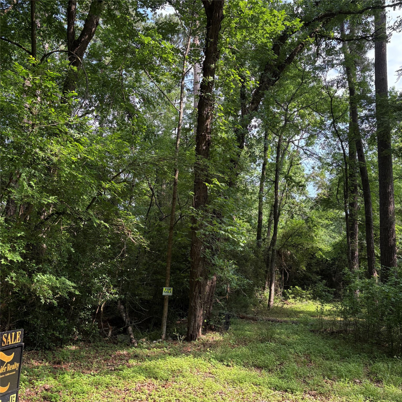 Beautiful wooded lot tucked into a quiet cul-de-sac