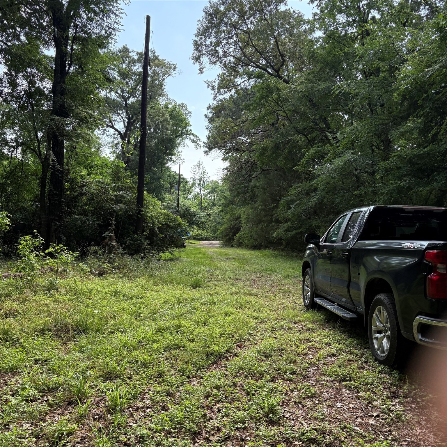 0 Canvas Back Lane Trinity, TX 75862 - Photo 2 of 8 View of the road