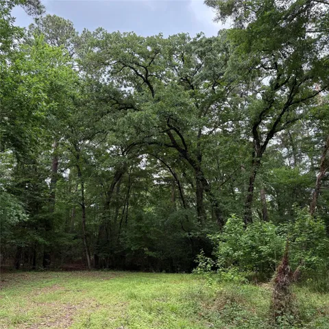 $15,000 | 0 Canvas Back Lane, Trinity, TX 75862