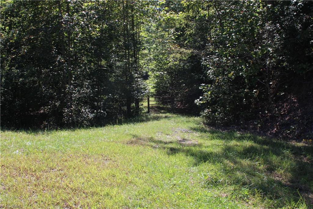 Xx Xx Frye Road Westfield, NC 27053 - Photo 1 of 7 Gallery Image 1