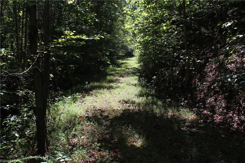 Xx Xx Frye Road Westfield, NC 27053 - Photo 2 of 7 Gallery Image 2