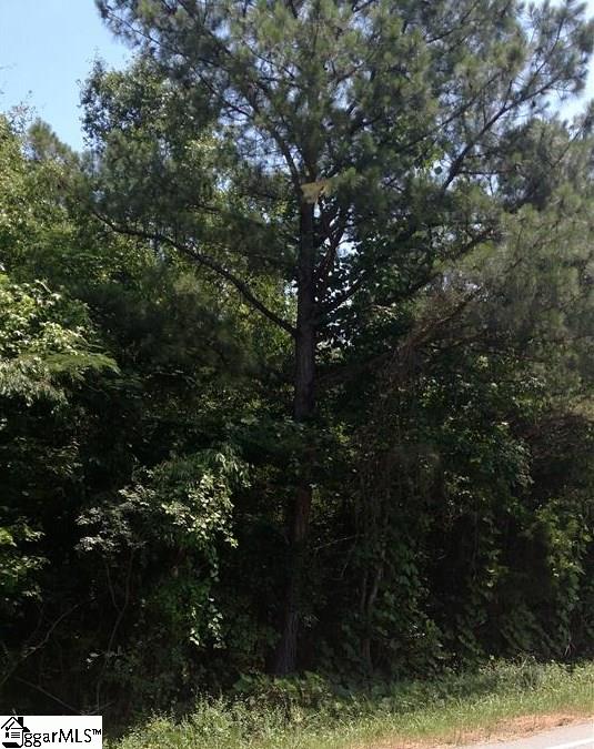 0 Rogerstown Road Jonesville, SC 29353 - Photo 2 of 3 Gallery Image 2