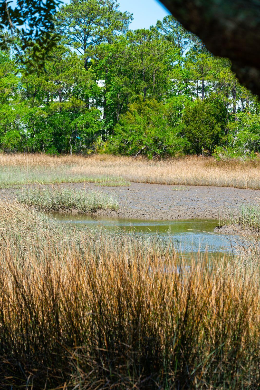 380 Tidal Reef Circle Mount Pleasant, SC 29464 - Photo 51 of 55 380 Tidal Reef Circle