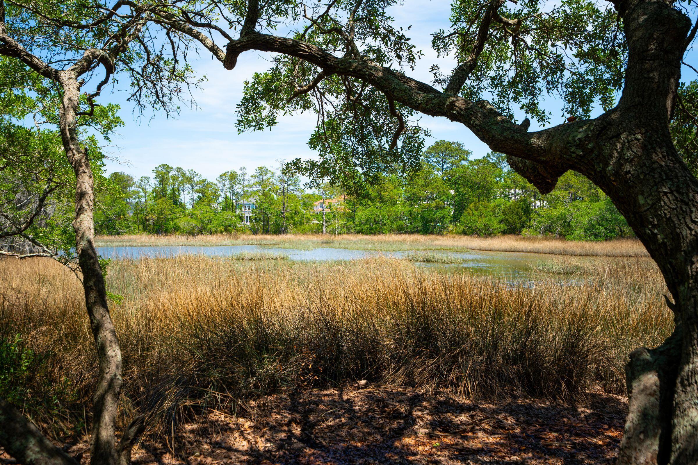 380 Tidal Reef Circle Mount Pleasant, SC 29464 - Photo 6 of 55 380 Tidal Reef Circle