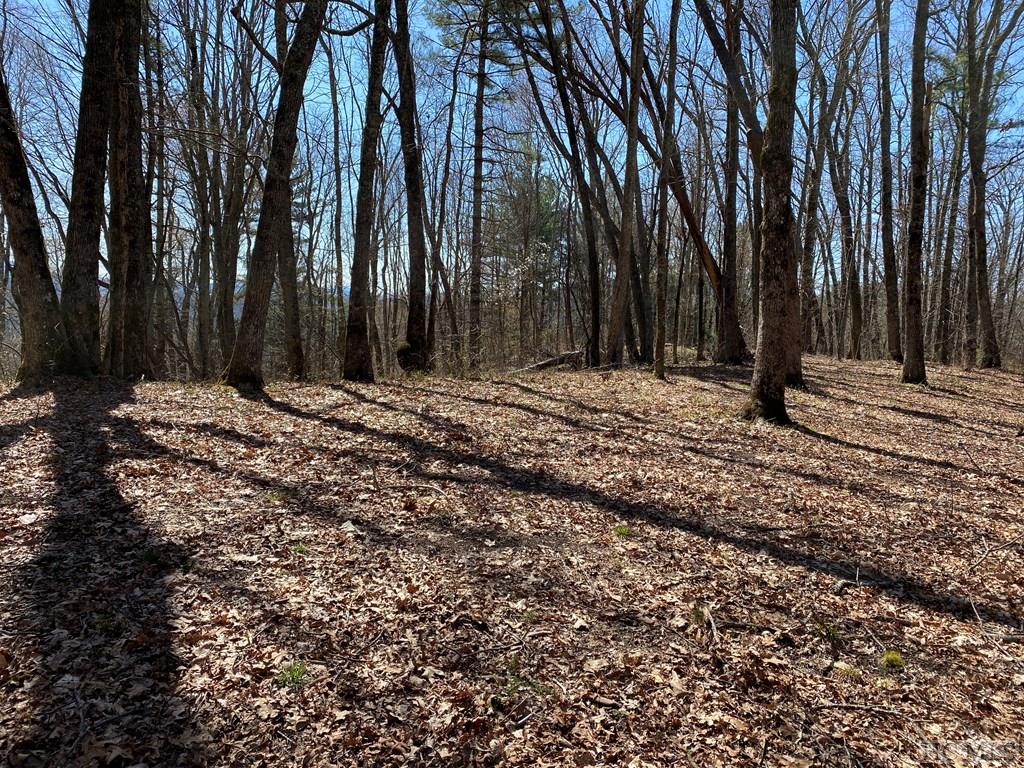 0 Salt Rock Road Highlands, NC 28741 - Photo 5 of 21 Gallery Image 5