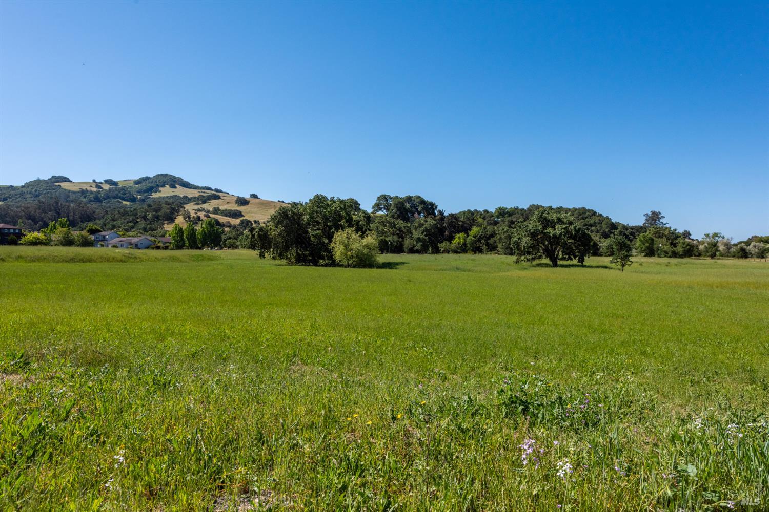 2228 Tokay Street Santa Rosa, CA 95404 - Photo 32 of 32