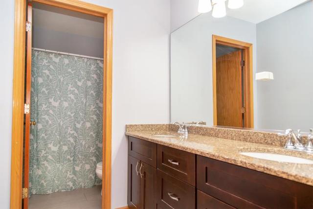 415 Ginger Lane Elgin, IL 60120 - Photo 17 of 27