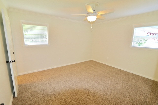 204 Danbar Street Brandon, MS 39042 - Photo 11 of 15 Photo 11