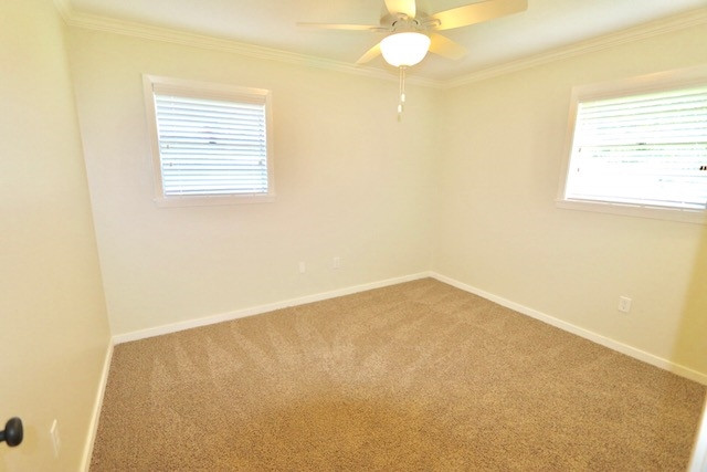 204 Danbar Street Brandon, MS 39042 - Photo 10 of 15 Photo 10
