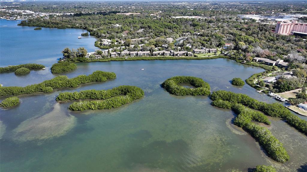 1715 Pelican Cove Road, Unit GL339 Sarasota, FL 34231 - Photo 46 of 56 Gallery Image 46