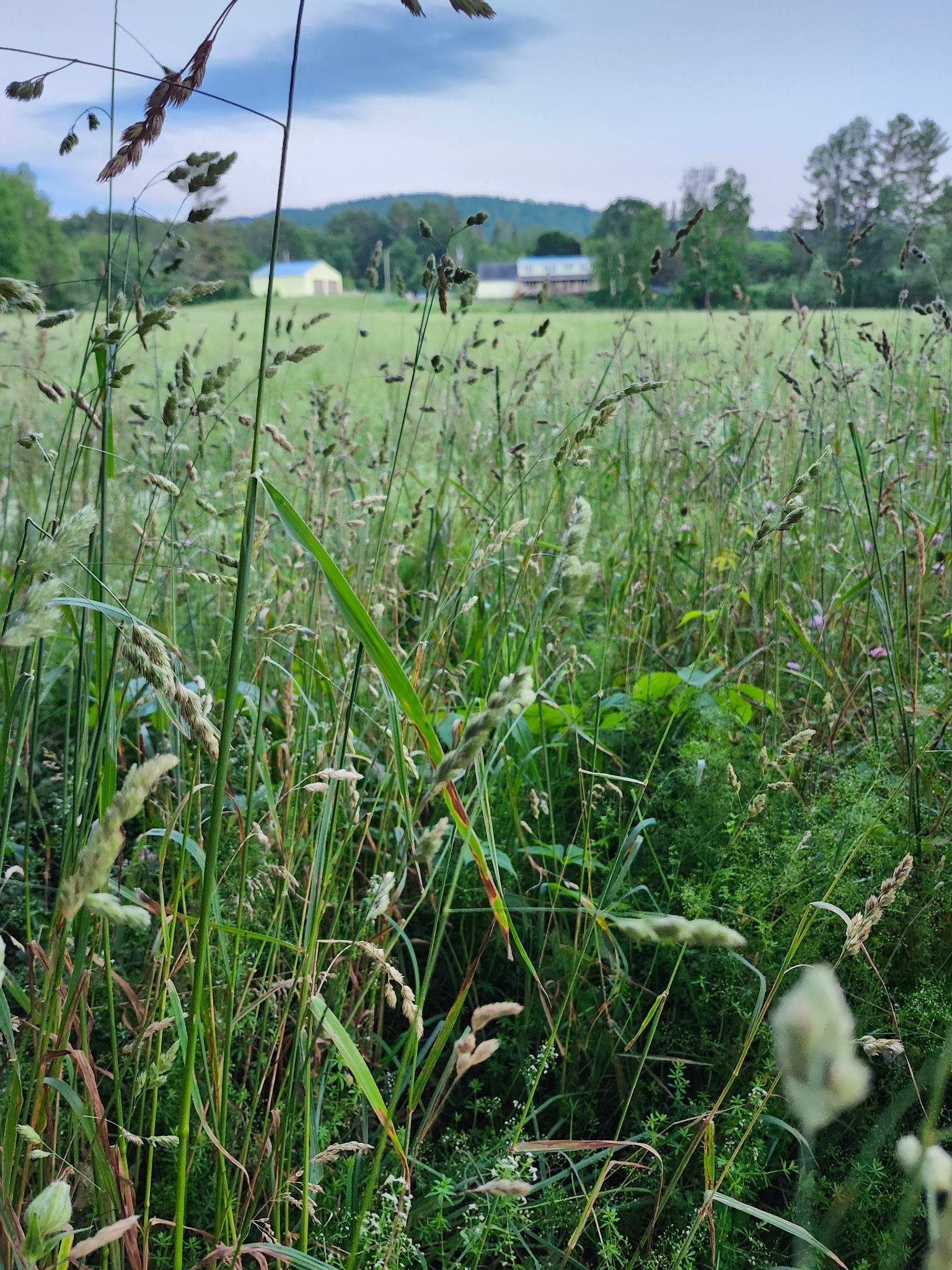 Brook Road, Unit 4 Landaff, NH 03585 - Photo 12 of 13