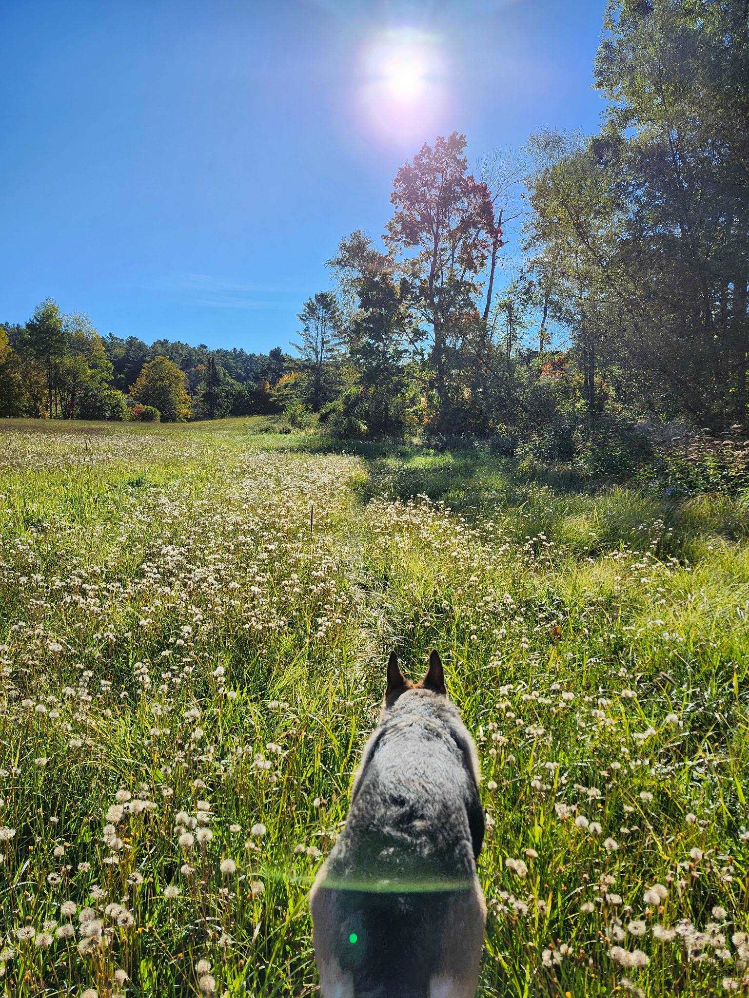 Brook Road, Unit 4 Landaff, NH 03585 - Photo 13 of 13