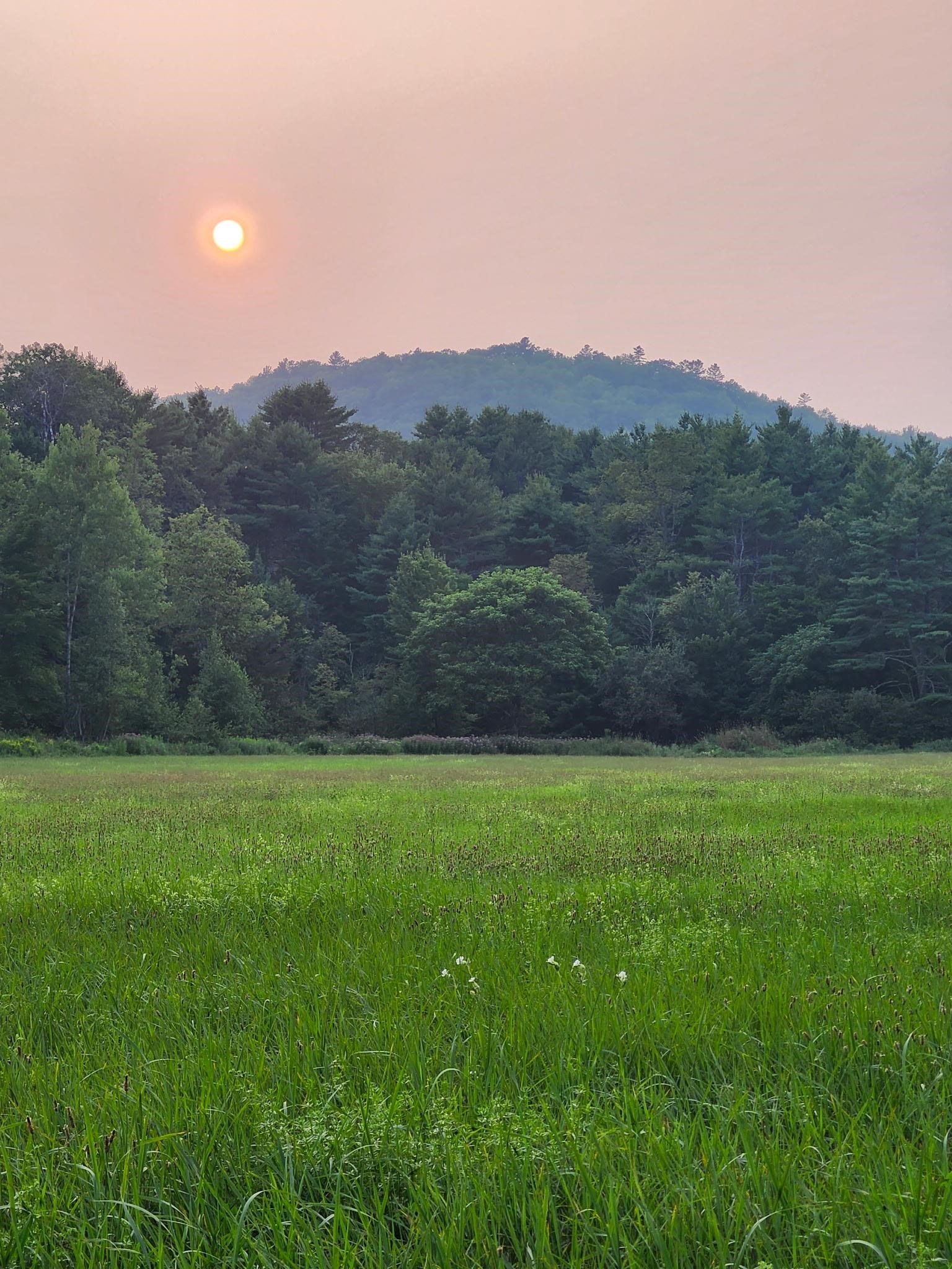 Brook Road, Unit 4 Landaff, NH 03585 - Photo 2 of 13