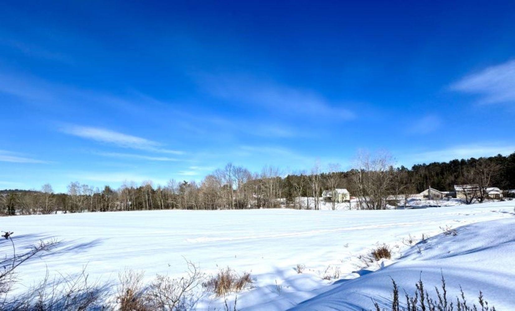 Brook Road, Unit 4 Landaff, NH 03585 - Photo 8 of 13