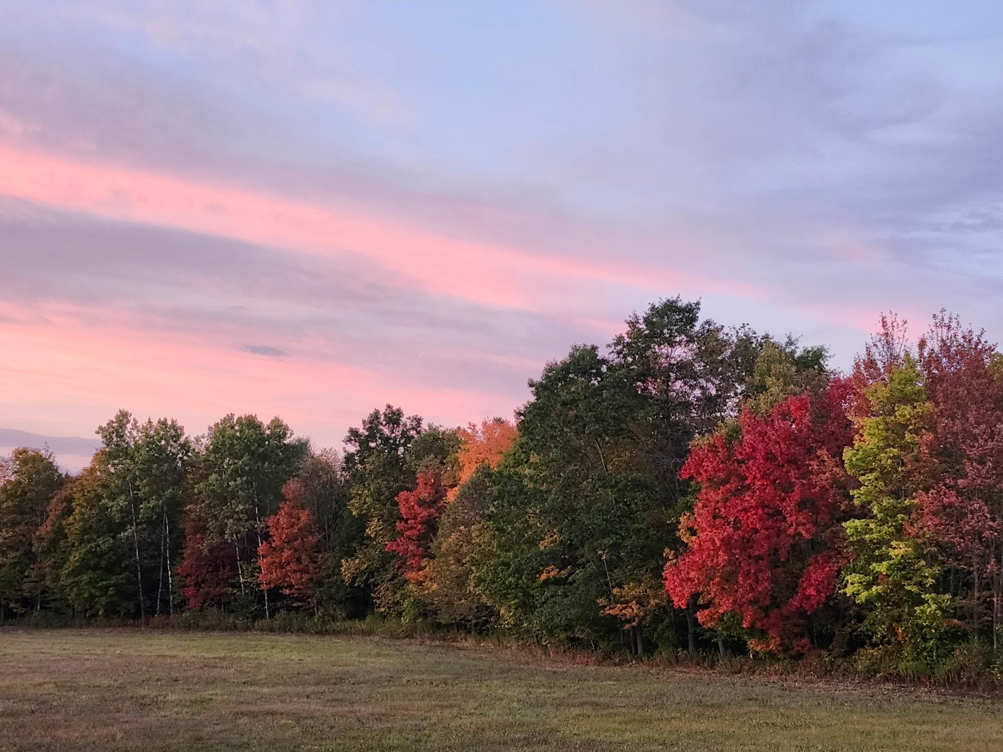 Brook Road, Unit 4 Landaff, NH 03585 - Photo 10 of 13
