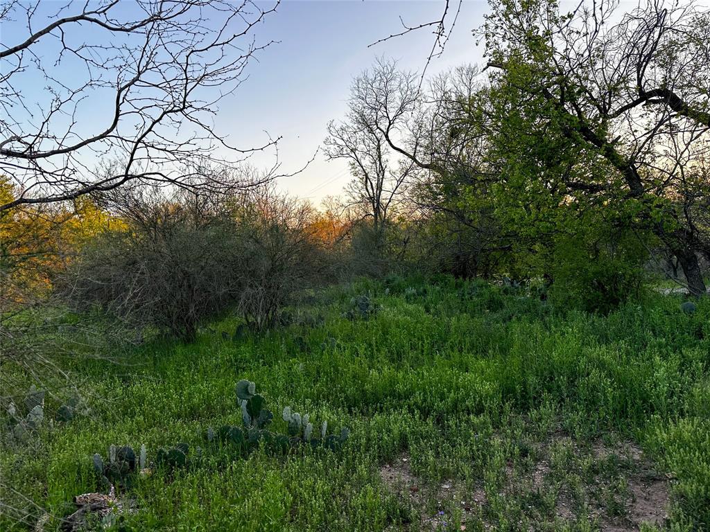 0 North Elm Brady, TX 76825 - Photo 1 of 1 a view of a yard