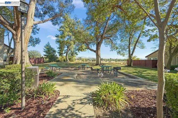 a view of a yard with a tree