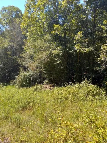 $55,000 | Tbd Tbd River Road, North Wilkesboro, NC 28659