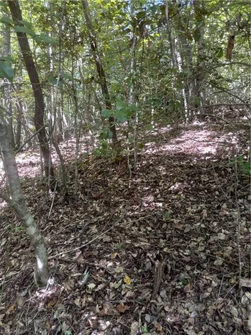 $55,000 | Tbd Tbd River Road, North Wilkesboro, NC 28659