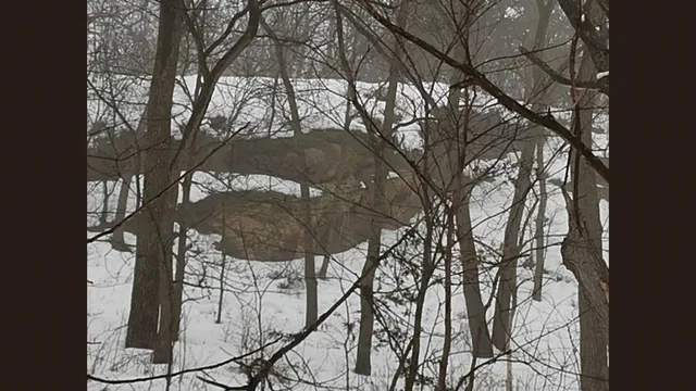 $379,000 | 138 Peerless Road, New Glarus, WI 53574