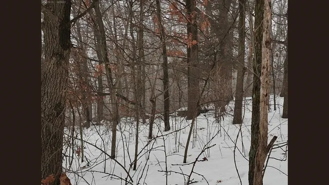 $379,000 | 138 Peerless Road, New Glarus, WI 53574